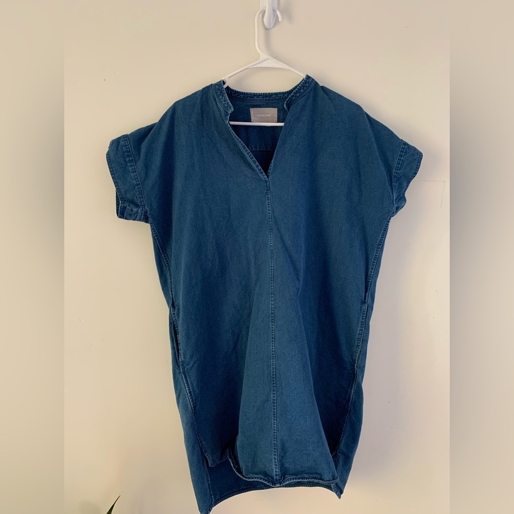 Everlane dress